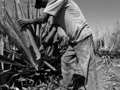 TRABALHO DOM�STICO AN�LOGO AO ESCRAVO