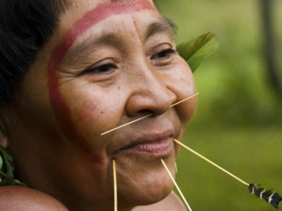 O apagamento das culturas e dos povos indgenas no brasil